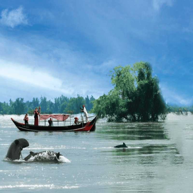 Photo de galerie 8